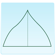 APPUNTITO: dotato di punta evidente (PIOPPO NERO).