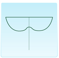 CUORIFORME: ha la forma di un cuore capovolto (PIOPPO DEL CANADA).
