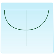 TRONCA: (CARPINO BIANCO).