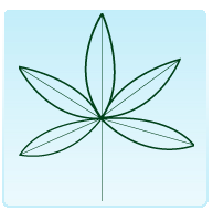 DIGITATA: foglia composta nella quale le foglioline si inseriscono nello stesso punto del RACHIDE principale, disponendosi come le dita di una mano (ROVO COMUNE).