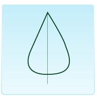 OVATA: a forma di uovo, più larga verso il picciolo (CARPINO BIANCO).