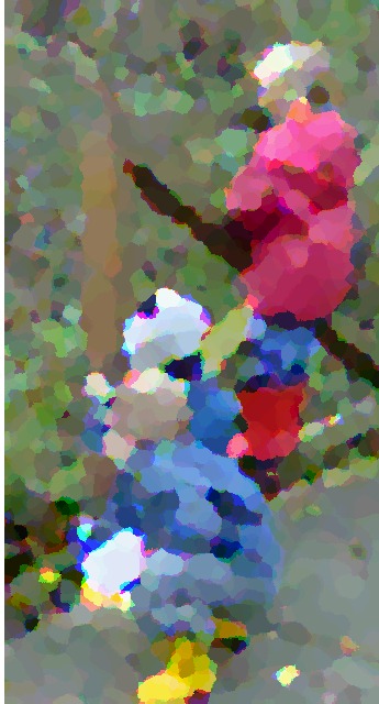 I bimbi in visita al Bosco scoprono sempre qualcosa di interessante
