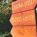 Per chi si perde...