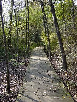 Camminamenti nel Bosco