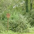 Percorsi nel Bosco