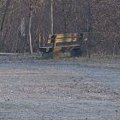 Il parco dell'ingresso del bosco