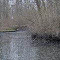 Stagno