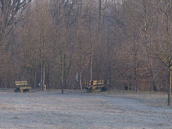 L'ingresso al bosco