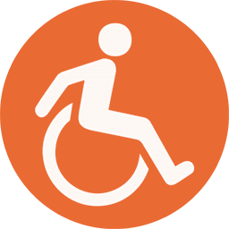 Disabili
