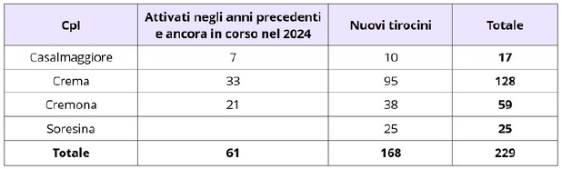 Servizi CPI 2024 Tab. 4