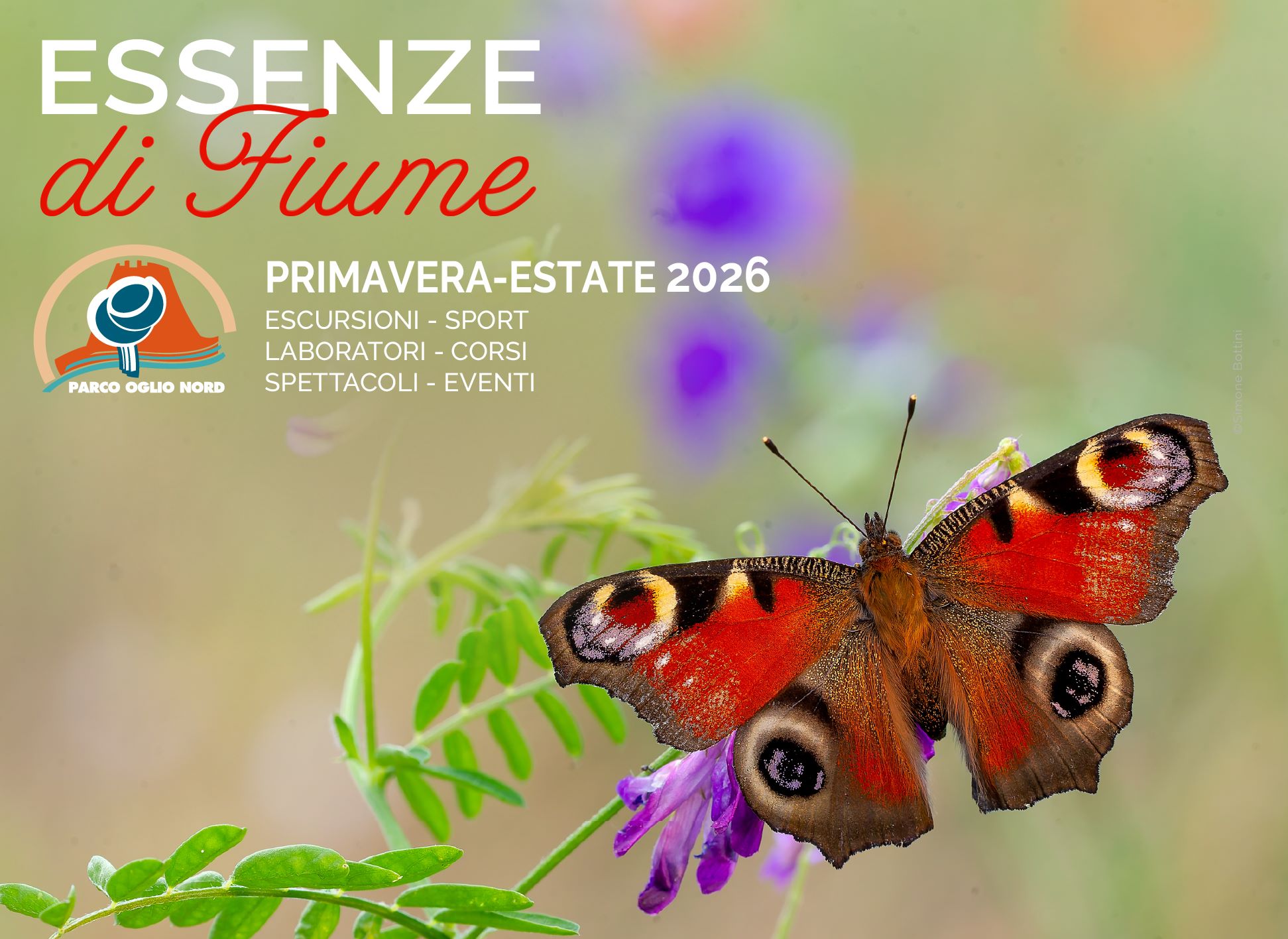 Locandina Essenze di Fiume 2026